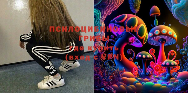герыч Алексин