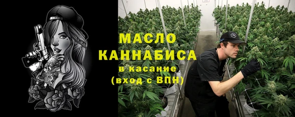 крисы Медногорск