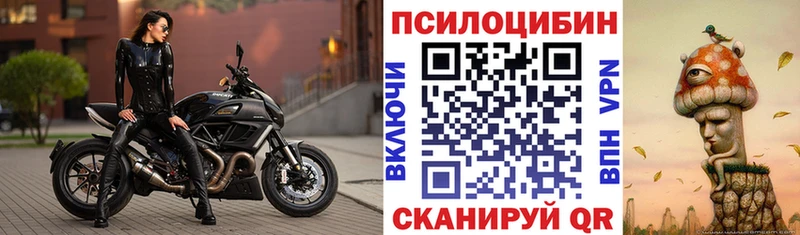 мориарти какой сайт  Урюпинск  Псилоцибиновые грибы мицелий 